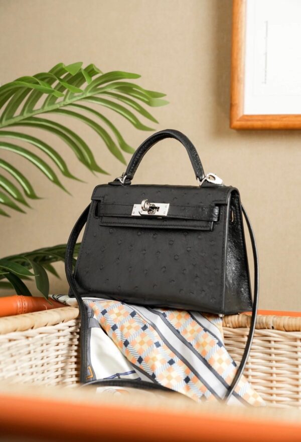 i1733985252_3801_0-1 Old Cobbler Mini Kelly Ostrich Leather CK89 Black Silver Hardware 19cm Full Handmade