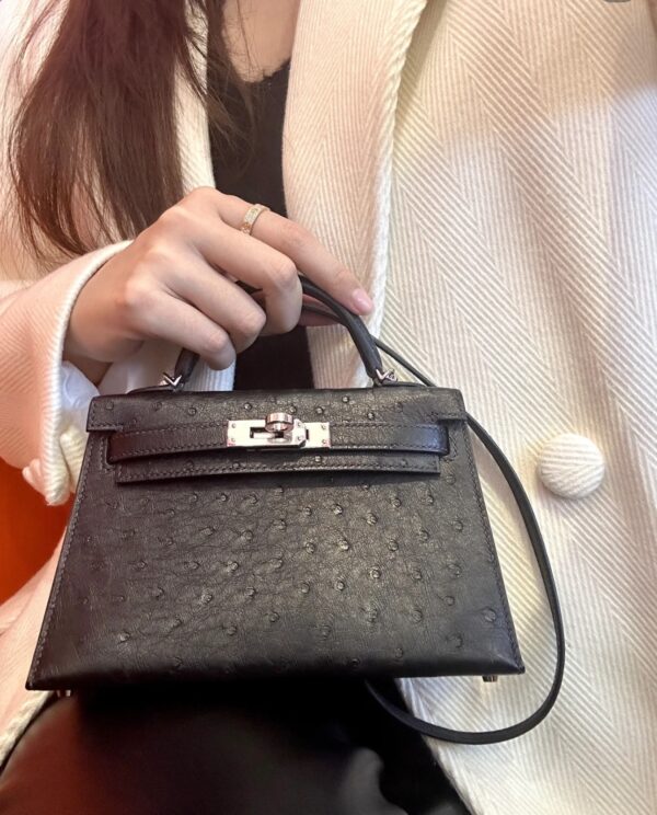 i1733985364_4068_0-1 Old Cobbler Mini Kelly Ostrich Leather CK89 Black Silver Hardware 19cm Full Handmade