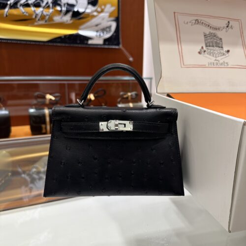 wsxc1779810689718_0-1 Old Cobbler Mini Kelly Ostrich Leather CK89 Black Silver Hardware 19cm Full Handmade