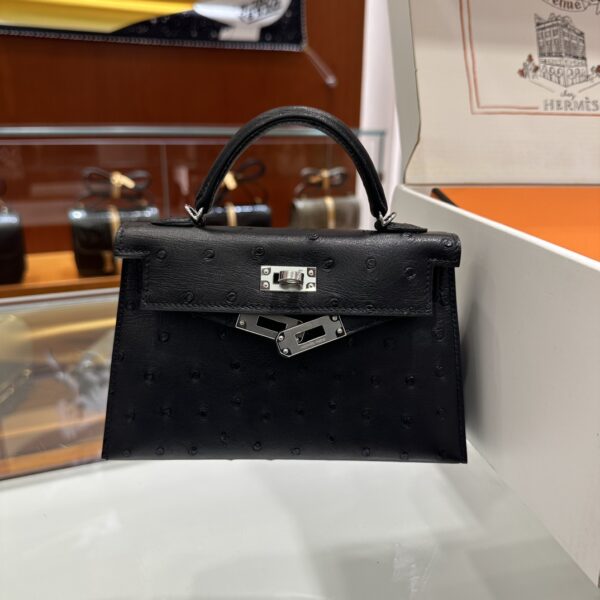 wsxc1779810689718_1-1 Old Cobbler Mini Kelly Ostrich Leather CK89 Black Silver Hardware 19cm Full Handmade