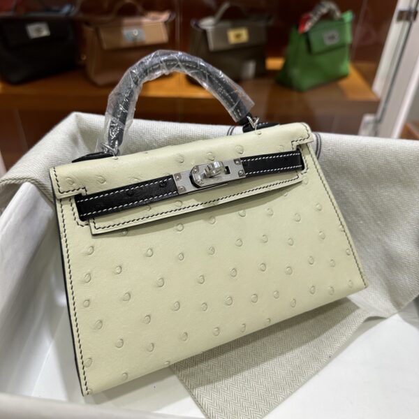 wsxc1780397540444_0-1 Old Cobbler Mini Kelly Ostrich Leather CK10 Cream White & CK89 Black Silver Hardware 19cm Full Handmade