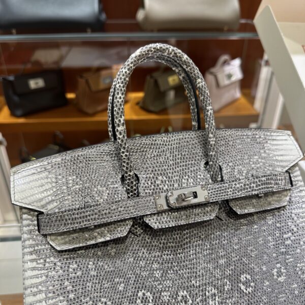 wsxc1782990635062_6 Old Cobbler Birkin Lizard Leather 1B Ombre Original Color Silver Hardware 25cm Full Handmade