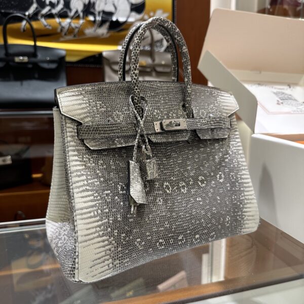 wsxc1782990635062_9 Old Cobbler Birkin Lizard Leather 1B Ombre Original Color Silver Hardware 25cm Full Handmade