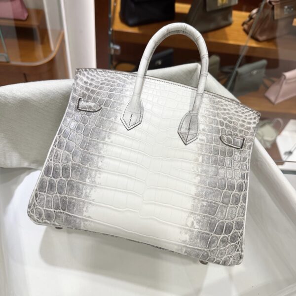 Old Cobbler Birkin Matte Crocodile Leather Himalaya Silver Hardware 25cm Full Handmade