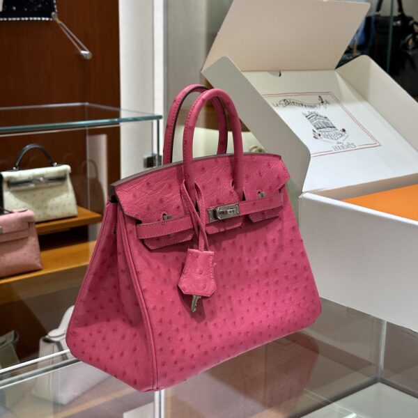 wsxc1785836024407_3 Old Cobbler Factory Birkin Ostrich Leather E5 Candy Pink Silver Hardware 25cm Full Handmade